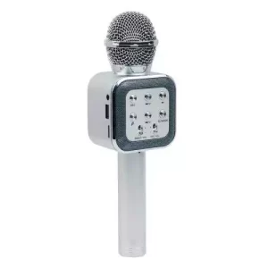خرید ProOne PBM02 Series PMB66 Wireless Microphone-Speaker تجریش