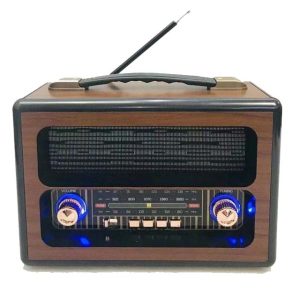 خرید رادیو و اسپیکر بلوتوثی مییر Meier M-1915BT تجریش